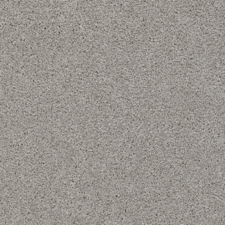 Dreamweaver Carpet Reflections II Dove DREAMWEAVER