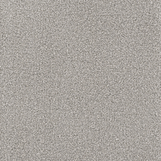 Dreamweaver Carpet Montauk Dove DREAMWEAVER