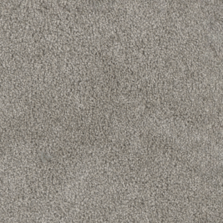 Dreamweaver Carpet Trendsetter I Dove DREAMWEAVER