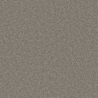 Dreamweaver Carpet Broadcast Plus Silver Birch DREAMWEAVER