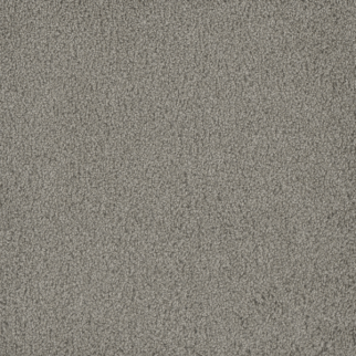 Dreamweaver Carpet Hammond Creek I Silver Birch DREAMWEAVER