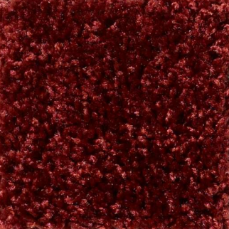 Shaw Floors One Over All Tucson Red SHAW