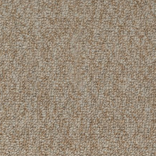 Mohawk Carpet Pristine Sensation Wrangler Mohawk