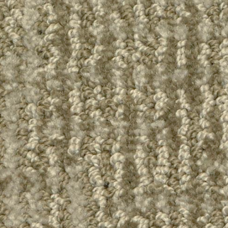 Dixie Home Seagate Zorro