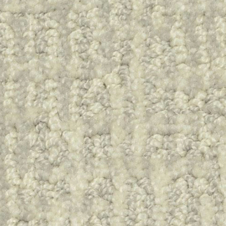 Dixie Home Seagate Halo