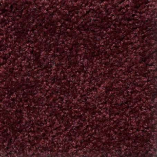 Shaw Floors Magic At Last III 15' Radish SHAW