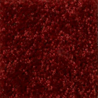 Shaw Floors All Star Weekend I 12' Red Wine SHAW