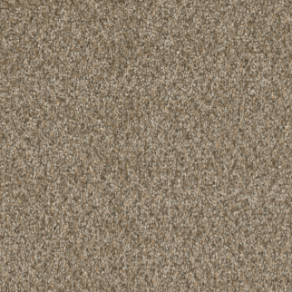 Dreamweaver Carpet Broadcast Plus Azure DREAMWEAVER