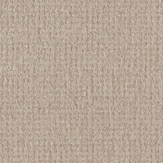 Shaw Floors Fine Tapestry Heirloom SHAW