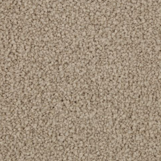 Horizon Carpet Coastal Fashion III Spft Feather Mohawk