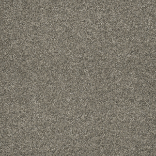 Dreamweaver Carpet Astounding II Baymont DREAMWEAVER