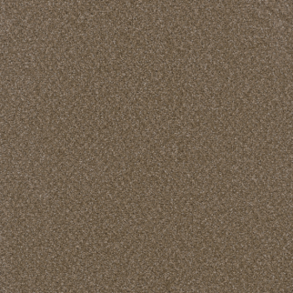 Dreamweaver Carpet Broadcast Plus Chestnut DREAMWEAVER