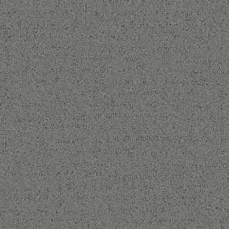 Tarkett Home Carpets Talk Of The Town Slate LEXMARK