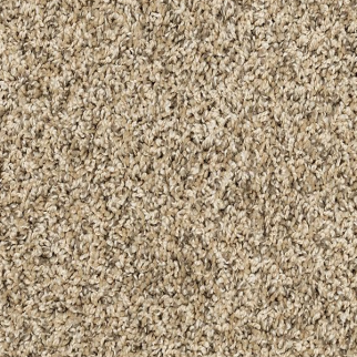 Mohawk Carpet Raise The Woof I Bisque Mohawk