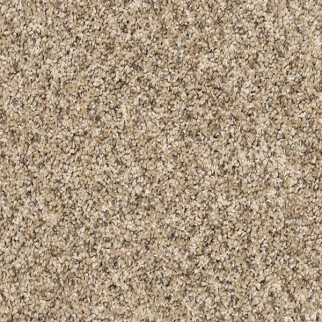 Mohawk Carpet Claws And Effect II Bisque Mohawk