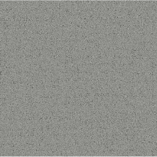 Tarkett Home Carpets Talk Of The Town Nickel LEXMARK