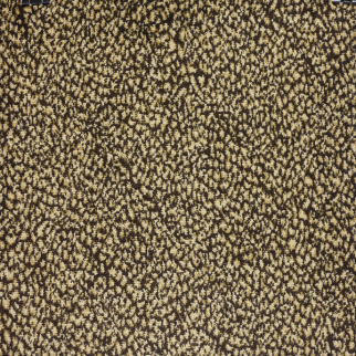 Kane Carpet Sophisticated Skins Napolean KANE