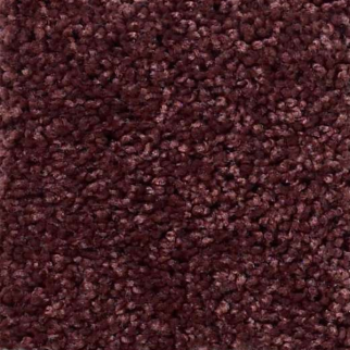 Shaw Floors Origins Berry SHAW