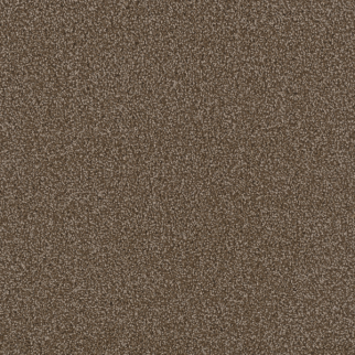 Dreamweaver Carpet First Step Chocolate DREAMWEAVER