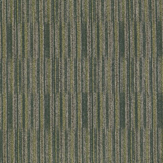 Philadelphia Commercial Cutaway Specimen Shaw