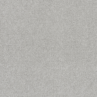 Dreamweaver Carpet Rock Solid II Morning Dove DREAMWEAVER