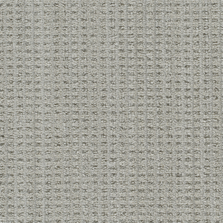DW Select Carpet Dublin II Newbridge DREAMWEAVER