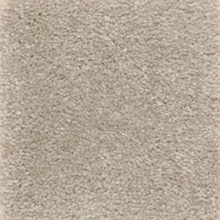 Mohawk Carpet Homefront II Cappuccino Mohawk