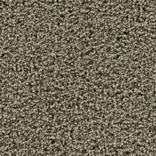 Mohawk Carpet Gentle Path Explorer Mohawk