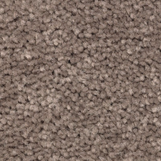 Mohawk Carpet Treasure Valley Dockside Mohawk