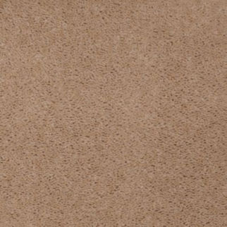 Aladdin Carpet Accelerator Plus Dried Peat MISSING