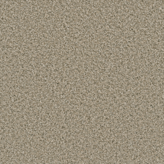 Dreamweaver Carpet Dazzling Linen DREAMWEAVER