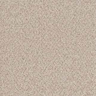 Dreamweaver Carpet East Hampton Linen DREAMWEAVER