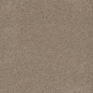 Dreamweaver Carpet Stunning Linen DREAMWEAVER