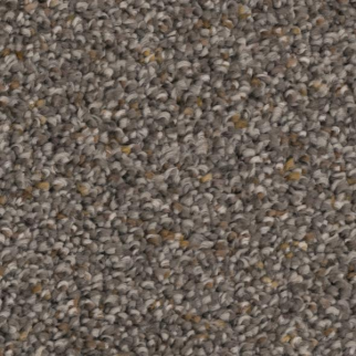 Phenix Carpets Appealing Snare PHENIX