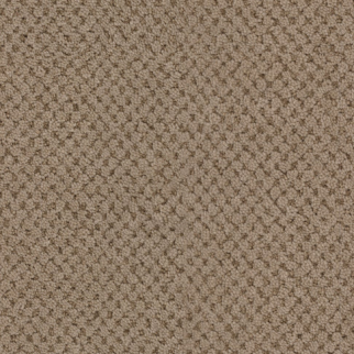 Masland Carpets La Parade Chocolat Masland