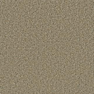 Dreamweaver Carpet Dazzling Wicker DREAMWEAVER