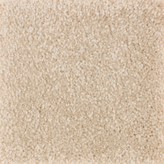 Mohawk Carpet Homefront I Honeywood Mohawk