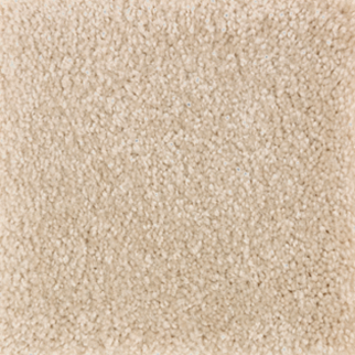 Mohawk Carpet Homefront III Honeywood Mohawk