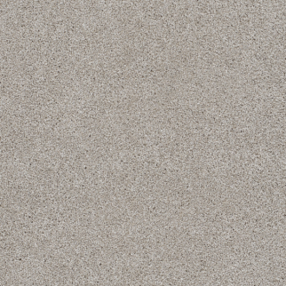 Dreamweaver Carpet Reflections III Acadia DREAMWEAVER