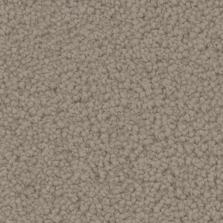 Tarkett Home Carpets Providence Stable LEXMARK