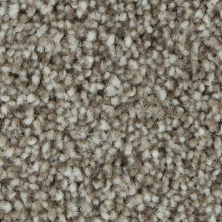 Horizon Carpet Polished Shades II Prairie Dusk Mohawk