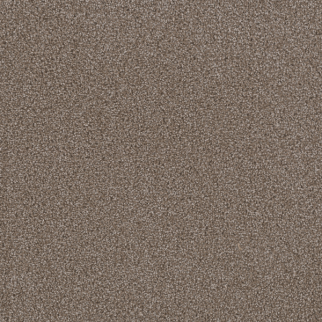 Dreamweaver Carpet First Step Silvery DREAMWEAVER
