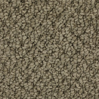 Horizon Carpet Cozy Classic 12' Taupe Whisper Mohawk