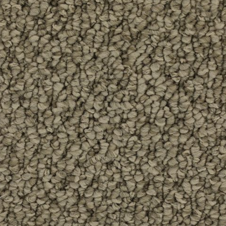 Horizon Carpet Cozy Classic 15' Taupe Whisper Mohawk