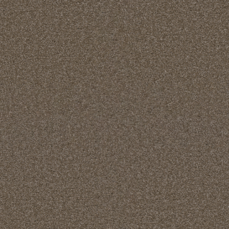 Dreamweaver Carpet Exceptional II Tumbleweed DREAMWEAVER