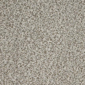 Dixie Home New Age Silver Medal