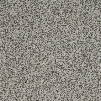 Dixie Home New Age Trophy