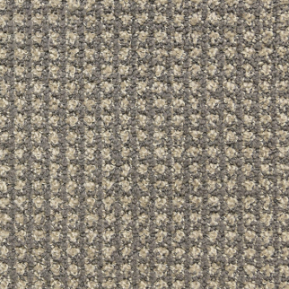 Masland Carpets Alpha Grey Matter Masland