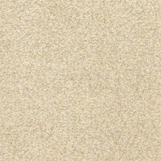 Masland Carpets This and That Opal Masland