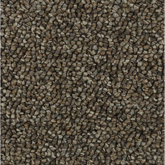 Horizon Carpet Pure Wonder 12' Copper Tone Mohawk